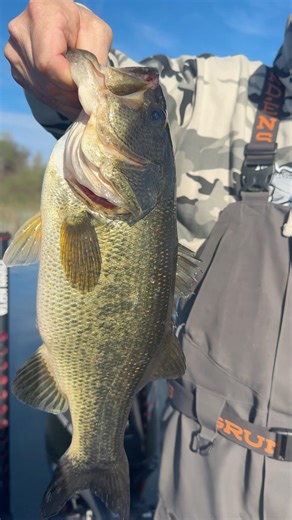 First Clear Lake bass in hand