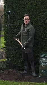 34K views · 798 reactions | Climbing roses are an amazing option to transform a wall or fence with a vertical display of blooms throughout summer.  In this video, one of our rose experts explains how to plant a bare root climbing rose step by step, with helpful tips that will ensure your rose thrives. After spending the winter months growing a strong root system, you’ll be amazed at the transformation of a bare root rose in spring! | David Austin Roses | Facebook