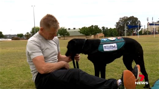 1.8K views · 27 reactions | A defence veteran has spoken out about the positive benefits of owning an assistance dog to manage post traumatic stress. He wants others to know that the service is available as another option when medication doesn't work. 7NEWS at 6pm. #7NEWS | 7NEWS Wide Bay | Facebook