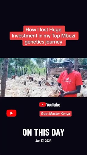 Goat Master Farming Journey in Kenya's Nyamachoma