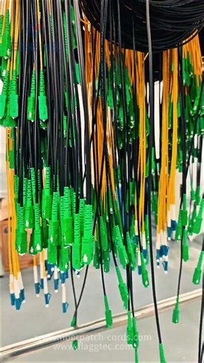 Quality Fiber Optics From Factory to World #ftth #networking #pigfeed