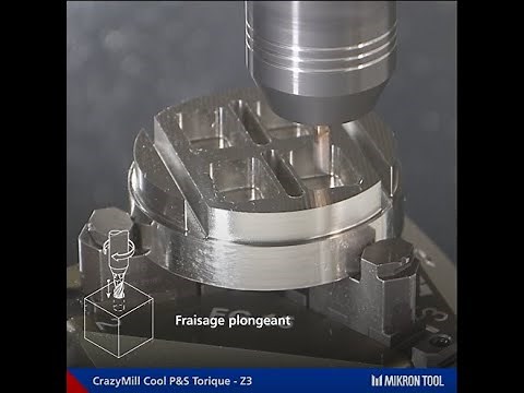 Micro-fraise torique P&S : réalisez 5 opérations d’usinage, 5 fois plus vite avec 1 seul outil !