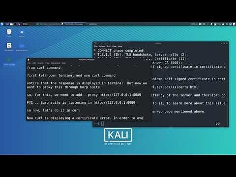 Proxy Curl command to burp