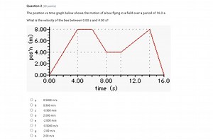 Question 2 (20 points) The position vs time graph below shows t... | Filo