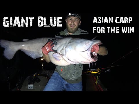 Asian Carp for the Win | Closing September With a Monster Blue Catfish