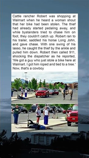 A Real Cowboy Ropes a Thief in the Most Unexpected Way