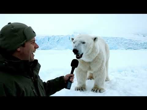 When Animals Talk: Hilarious Secrets From Their Daily Life 🐾😂 | Wildra Tales