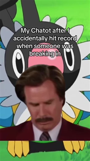 Divertidas historias de Chatot y Chatter en Pokémon DS