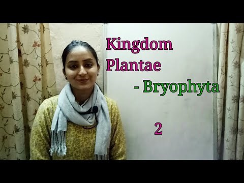Division Bryophyta | Biological classification part-6 | Class XI | Lecture 34