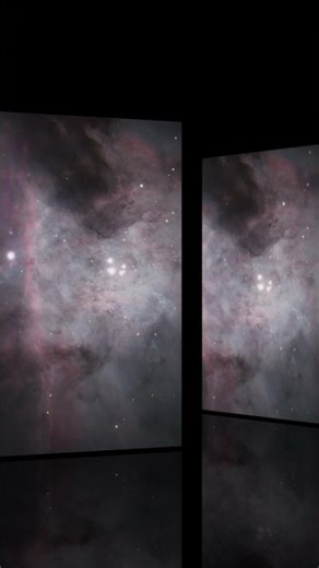 M 42 - Orion nebula core - Closeup with Trapezium stars - Celestron C14 #shorts