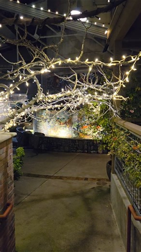 The historic Napa River Inn with StephieColorado #napa