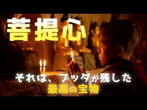【仏教の真髄】菩提心とは何か？
