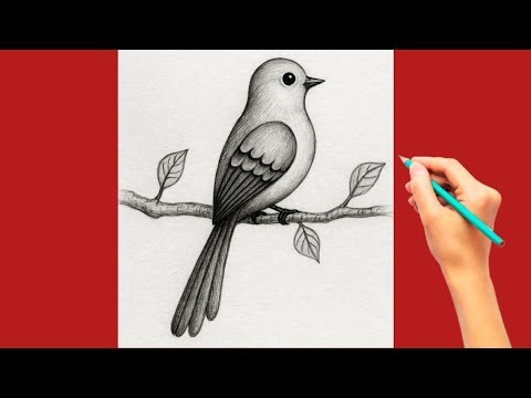 Easy Bird Drawing Tutorial for Beginners | Realistic Pencil Sketch