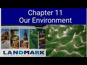Class 7 Geography chapter 11 Our Environment