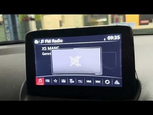 Mazda 2 Service Light Reset when using the trip button reset doesn’t work