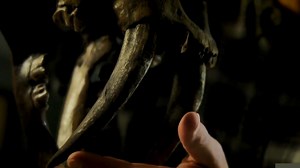 拥有极端武器的自然界猎手有多可怕？自带武器的天生掠食者！