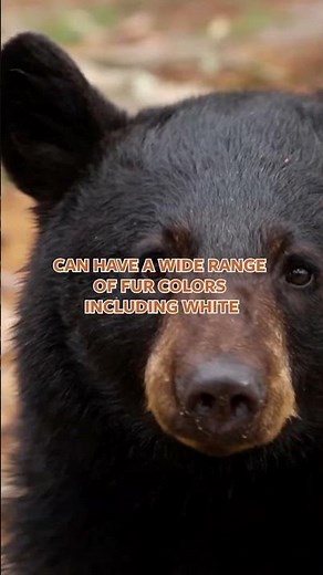 Your Top Wild Kingdom Species of 2025