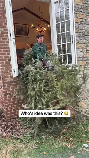 Hilarious Christmas Tree Fail: Flying Window Story
