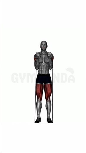 Standing Resistance Band Bicep Curl - Perfect Form Guide #shorts