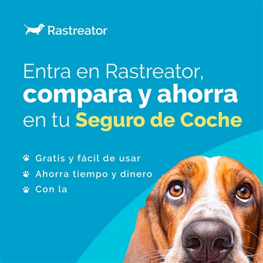 🚗 Compara seguros de coche 100% online, ¡GRATIS y en pocos minutos! Ahorra fácil en tu póliza. | Rastreator