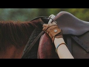 Animals [Equestrian Music Video]