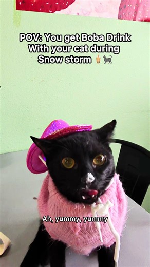 Adorable Pink Princess Cat Transformation