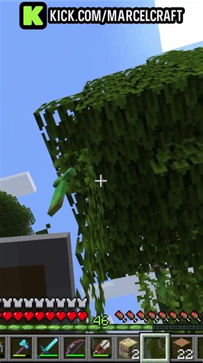 The Easiest Way to Get Mangrove Saplings