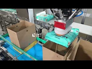 Spider Robot Case Packer for 4kg Bagged Pet Dry Food