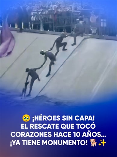 🥹🐕 Hay historias que nacen de un pequeño acto… y terminan tocando miles de corazones. En Kazajistán, un gesto de solidaridad para rescatar a un perrito se convirtió en un poderoso símbolo de unión. 🌍💜 ✨ Para recordarlo, se inauguró una escultura de bronce donde figuras humanas forman una cadena con los brazos entrelazados, evocando aquel emotivo rescate de hace 10 años. 🐾 #Tiktokinforma #tiktokmehizover #rescate #perros #lomitos #viral #unión