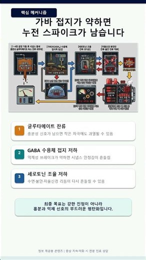 공황장애·만성 불안 및 가슴 두근거림·과호흡 증후군 5 가바·세로토닌 동기화 및 자율신경 평탄화 최종화 준공 스펙