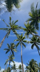 8.3K views · 296 reactions | Escape to Plantation Island Resort,...