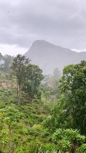 Introducing Weather Live°: The Ultimate Weather App with 14-Day Hourly Forecast!