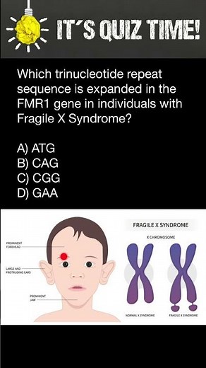 Which trinucleotide repeat sequence is expanded in the FMR1 gene in people with Fragile X Syndrome?