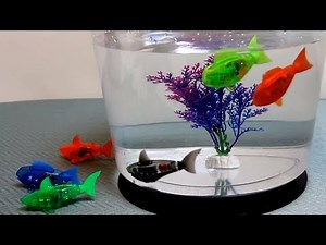 HexBug AquaBot 1.0 - The Robotic Pet Toy that Really Swims - Fish & Shark - Detailed hands on review
