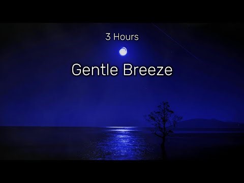 Dark Blue Screen – Gentle Breeze Sounds for Sleep, Study & Deep Relaxation (3 Hours)