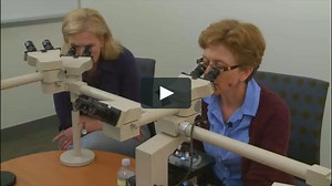 The Horse's Respiratory System: Part Five (of Five) - Lung Function Testing