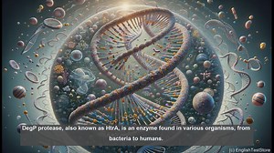 Degp protease in biology