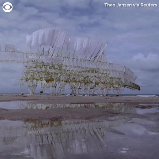 33K views · 601 reactions | WIND-POWERED ART: An artist in the Netherlands makes sculptures that can crawl and fly. Here's a look at them in action. | Cleveland 19 News | Facebook