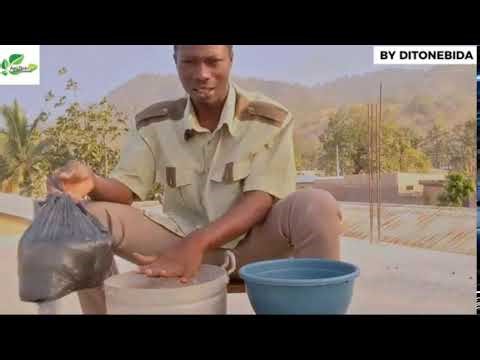 Comment garder tes tomates fraîches sans dépenser un sou !