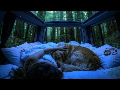 Fall Asleep Fast: Rain on Car Windows 🌲 Cozy Van Camping & Dog ASMR 💤