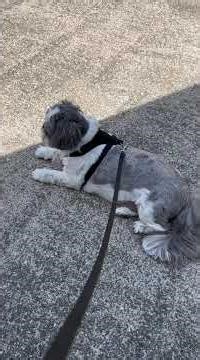 さん太🐶静かな🛝日曜日‥