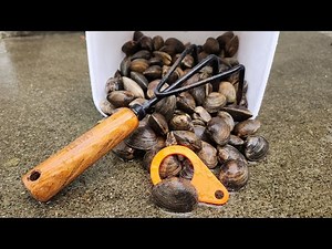 Beginner's Guide to Limits of Clams