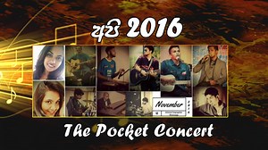 Api 2016 - The Pocket Concert
