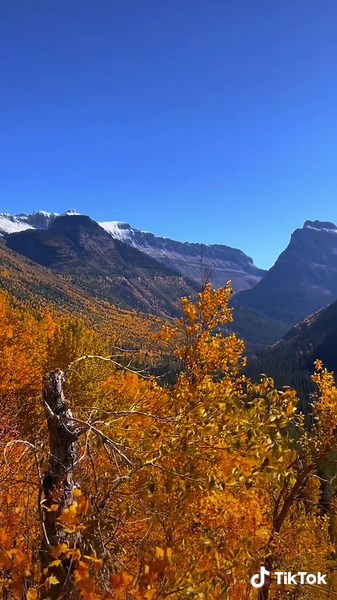 Experience the Stunning Beauty of Glacier National Park on the Going-To-The-Sun Road