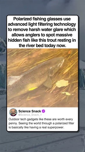 THE MAGIC OF UNDERWATER VISION