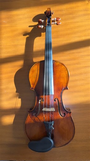 Violinist on Instagram: "It’s time for new #violin strings. #violinist #pirastro"