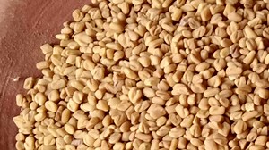 मेथी के फायदे ,15 फायदे और 8 नुकसान / Methi benefits in Hindi - Healthy Sansaar