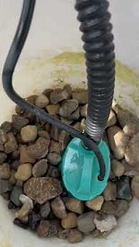 The best filter pump for Koi Ponds,