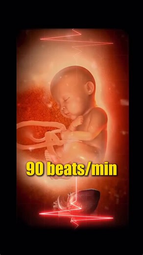 Hubble Health by Dr. Aditya Misra. MBBS, MD | Don’t ignore your baby’s heartbeat during pregnancy. A surprising number of moms miss early warning signs. Here’s a fetal expert explaining... | Instagram