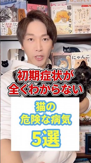 初期症状がまったくわからない猫の危険な病気５選 #猫 #猫のいる生活 #ねこのいる生活